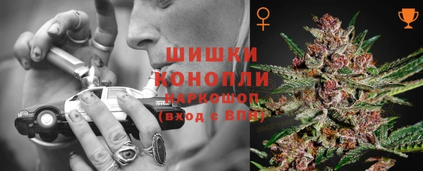 дживик Белоозёрский