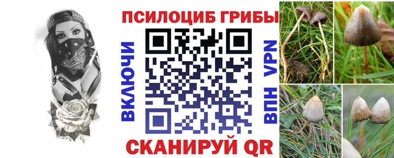 Псилоцибиновые грибы прущие грибы  Купить  Рошаль 